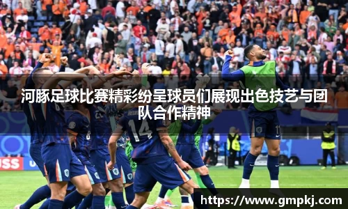 河豚足球比赛精彩纷呈球员们展现出色技艺与团队合作精神